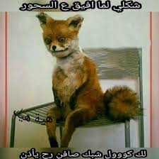 ميم 2