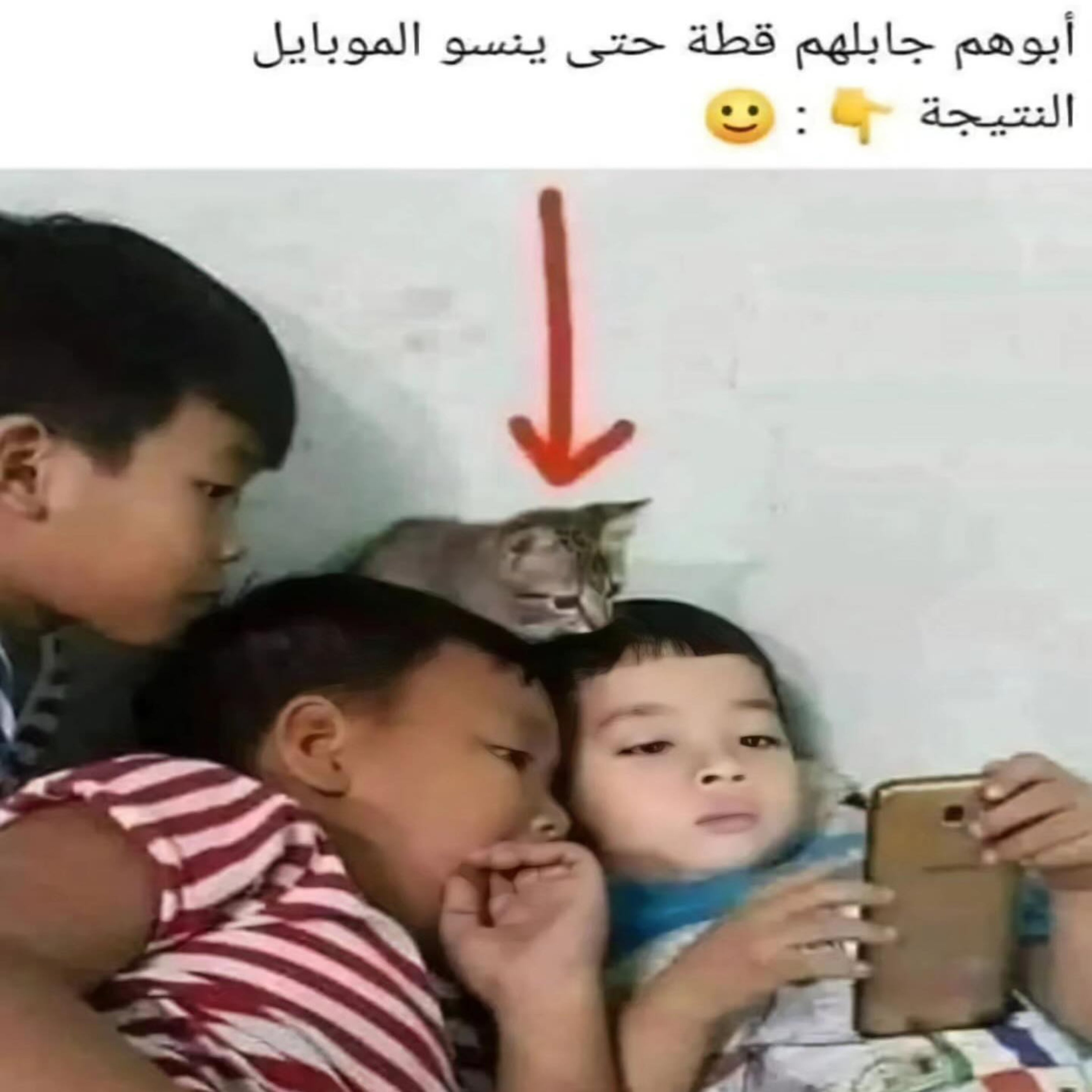 ميم 25