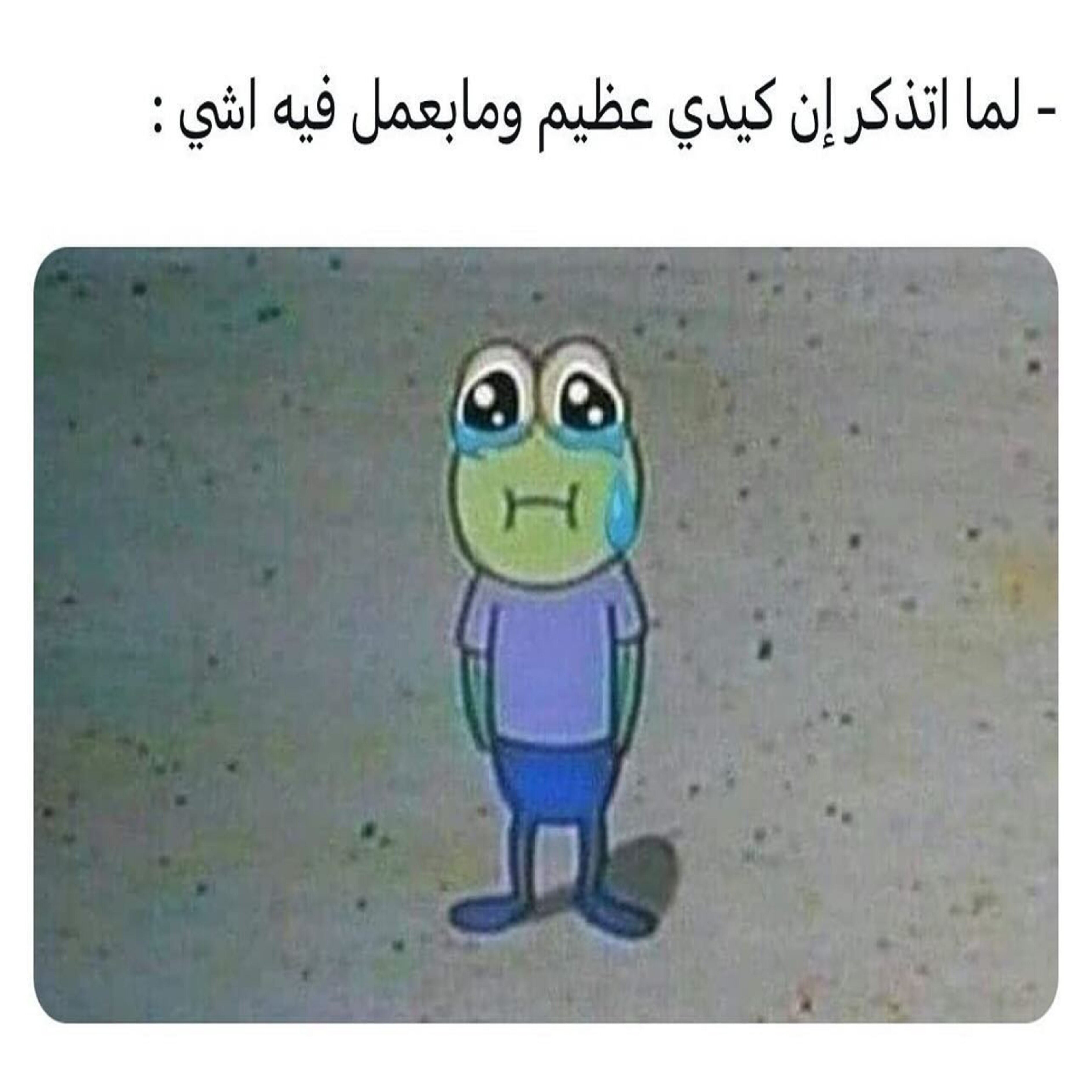 ميم 26