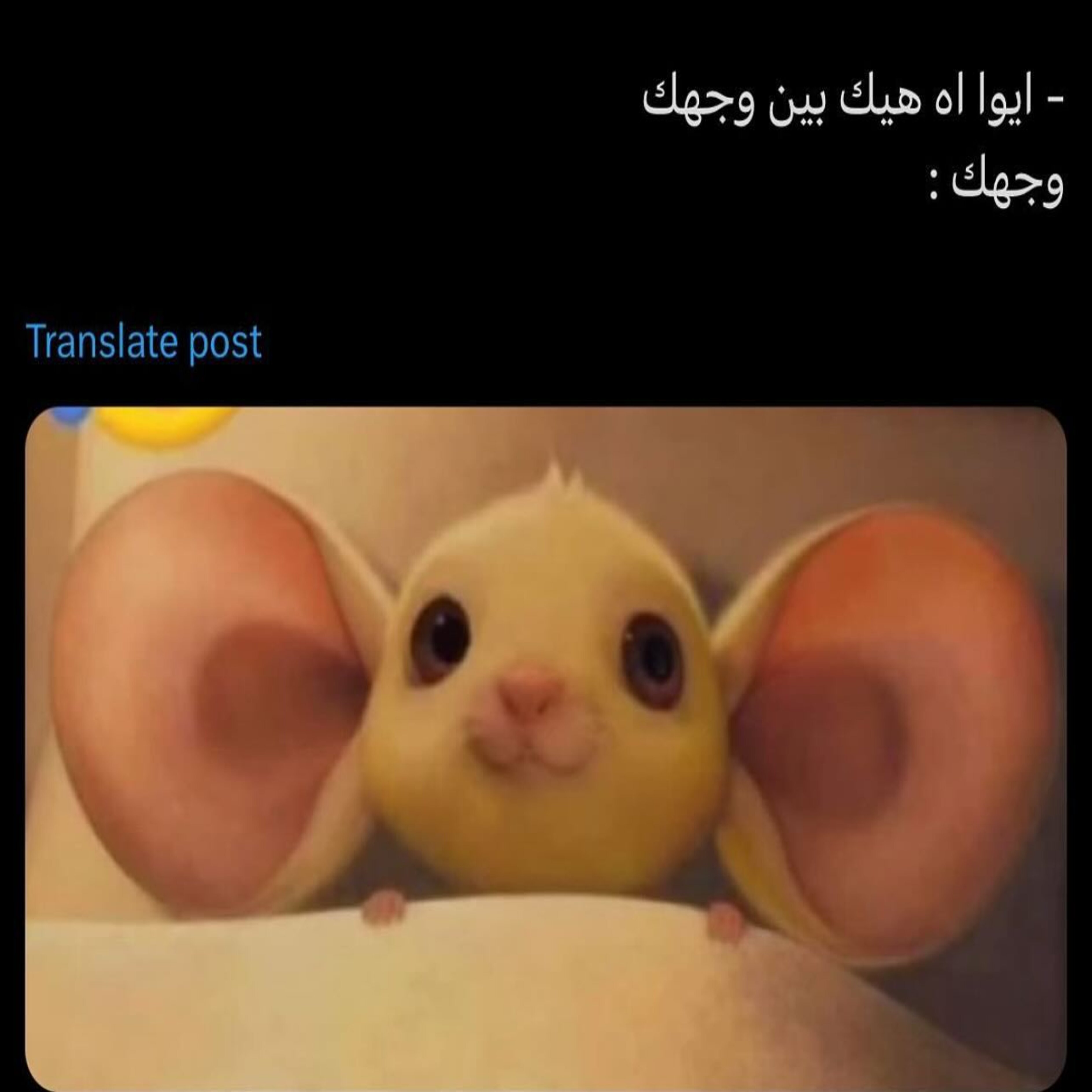 ميم 27