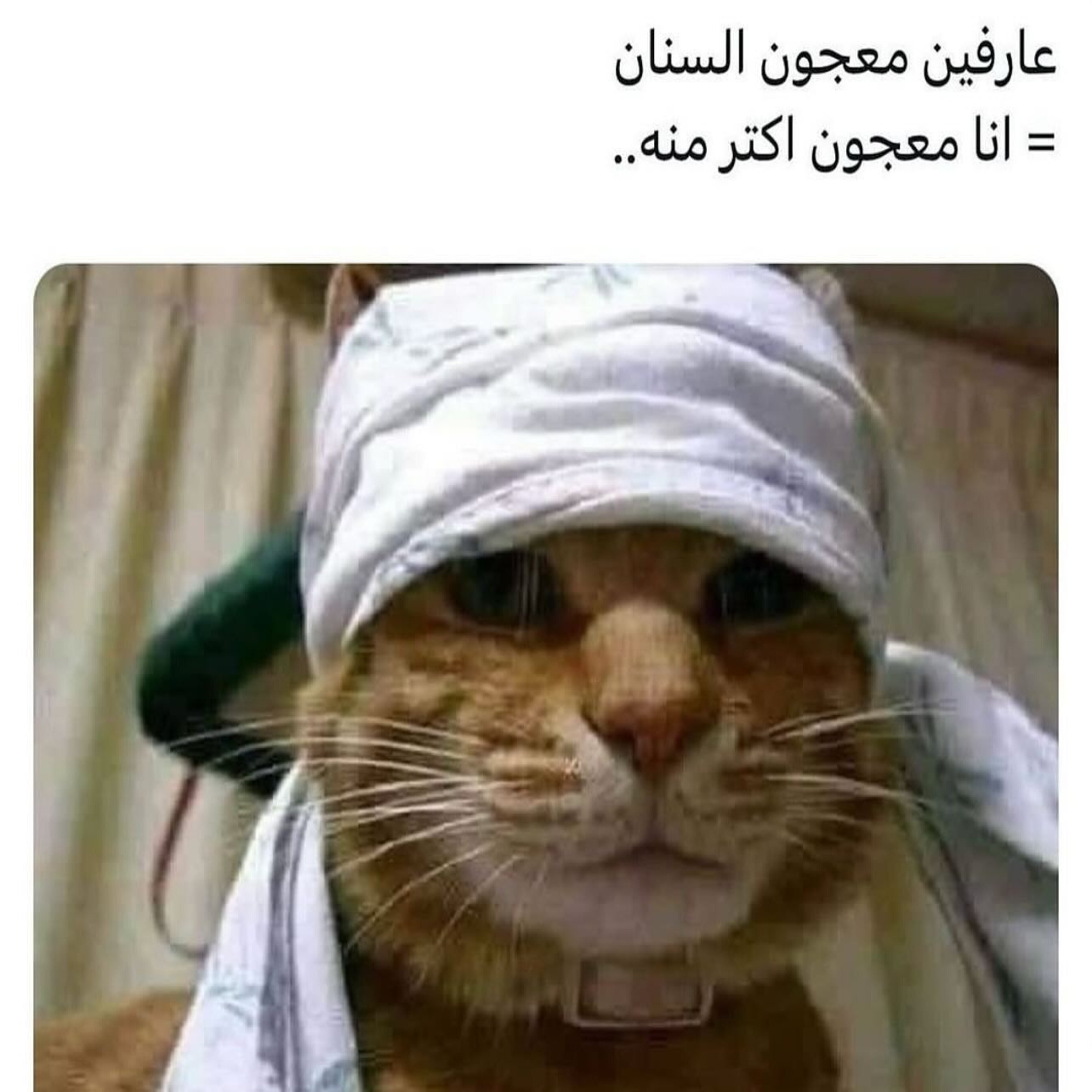ميم 3
