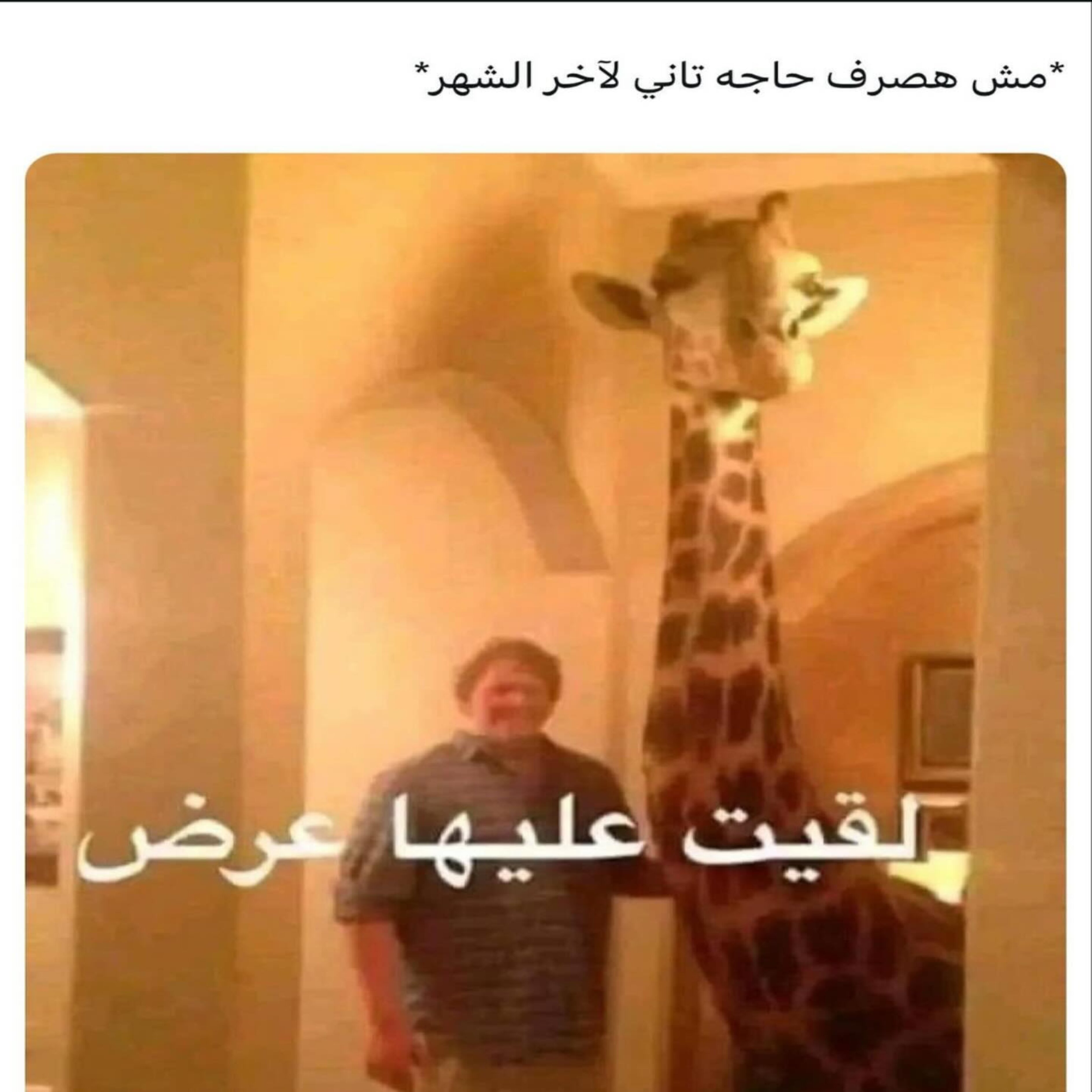 ميم 33