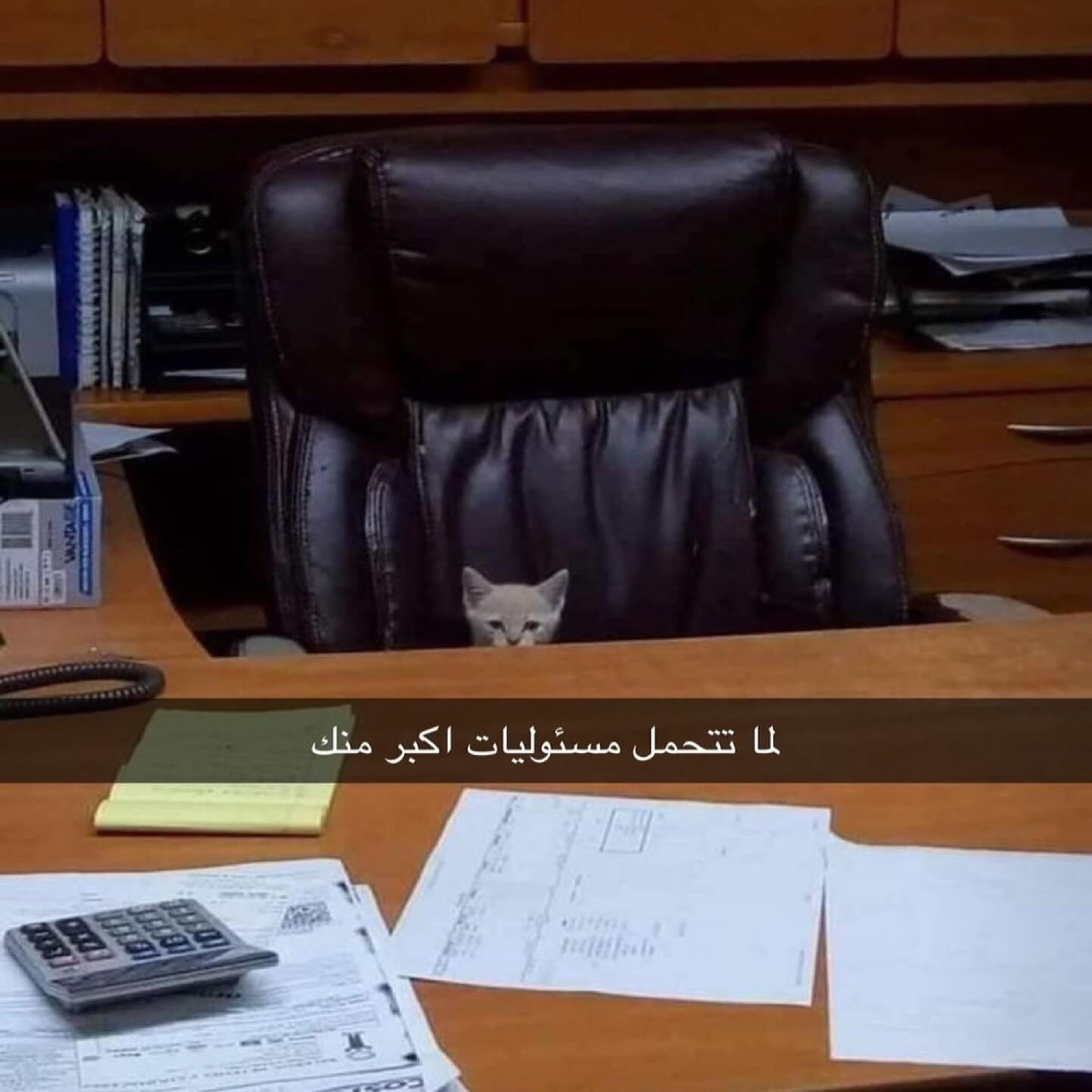 ميم 34