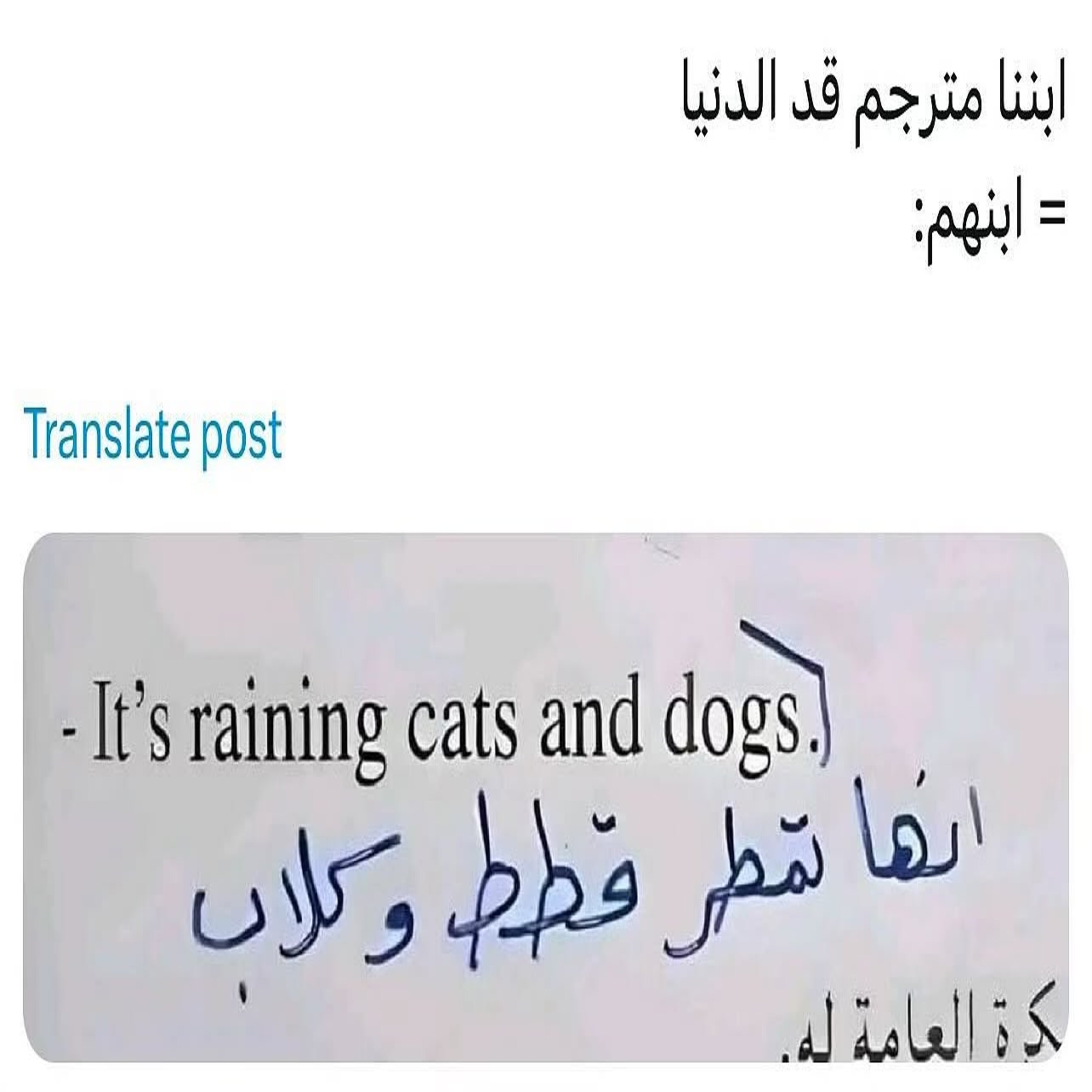 ميم 44