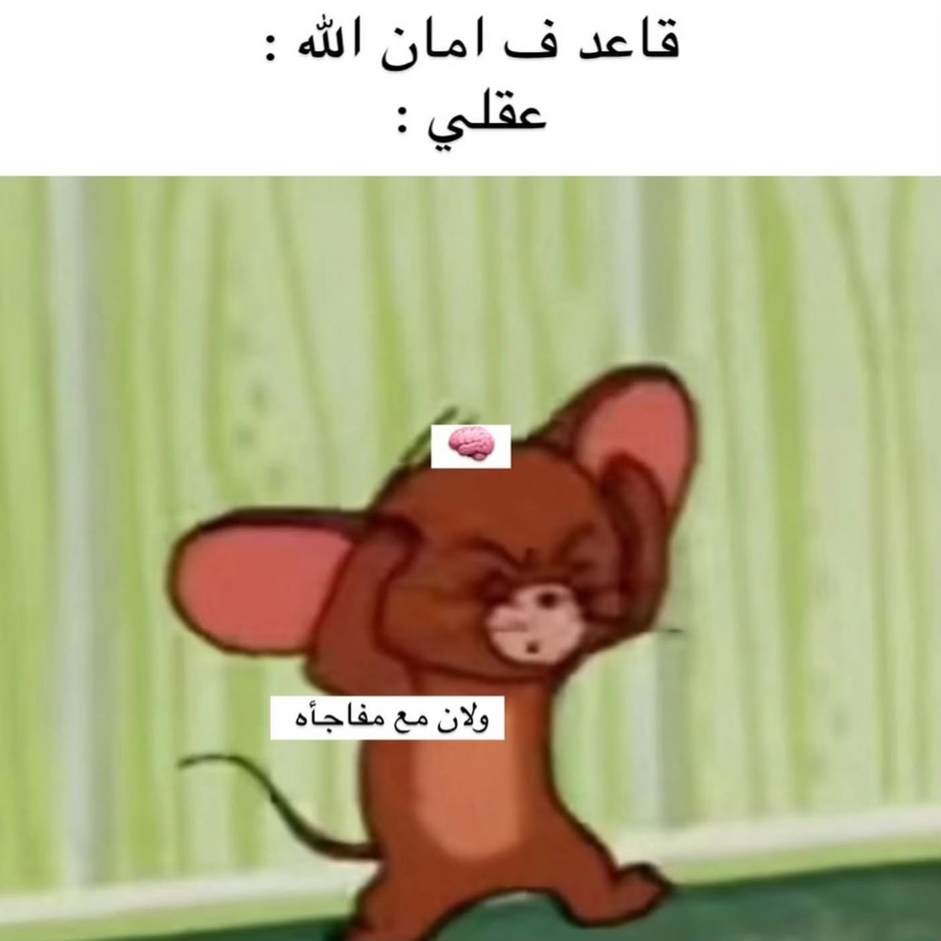 ميم 48