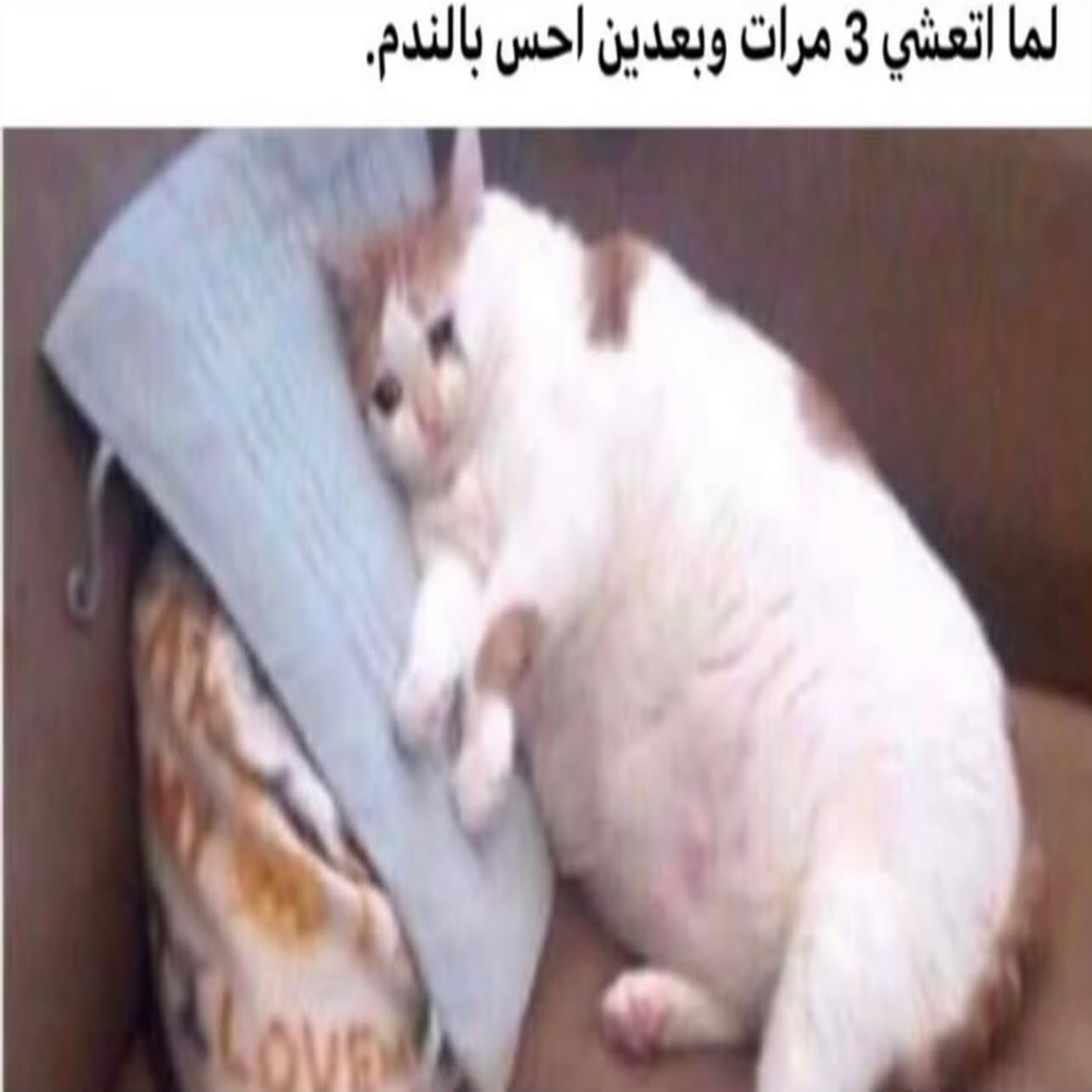 ميم 49
