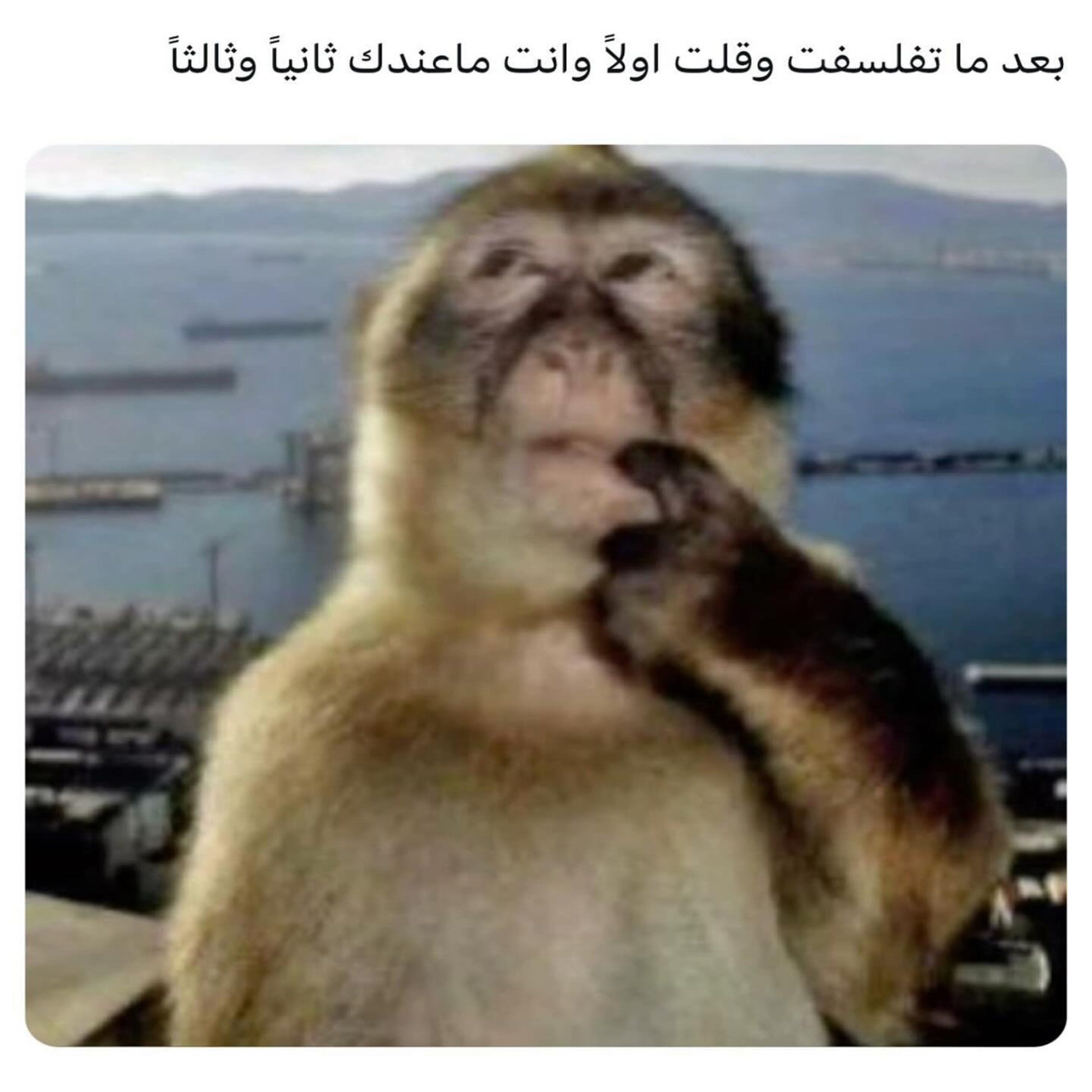 ميم 52