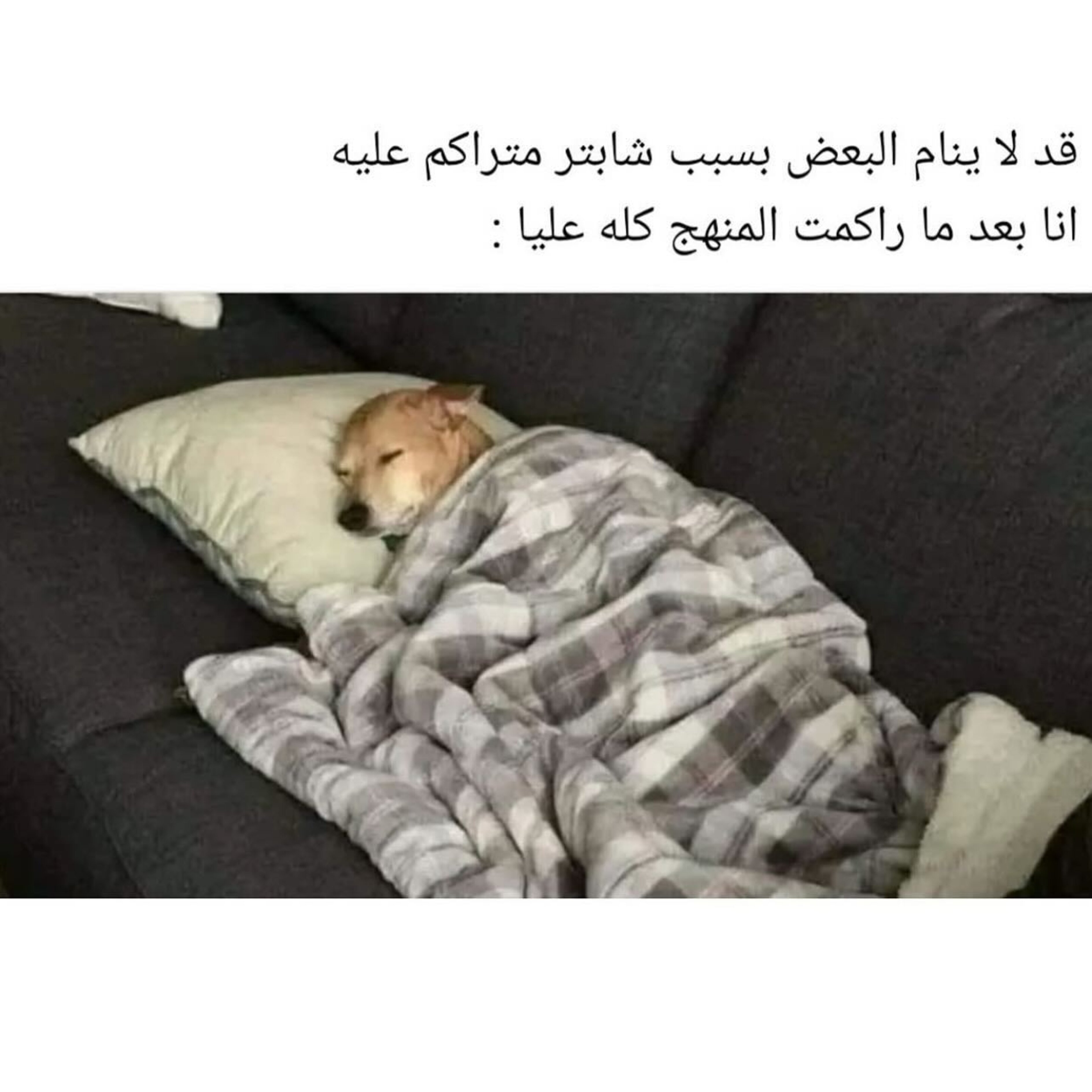 ميم 53