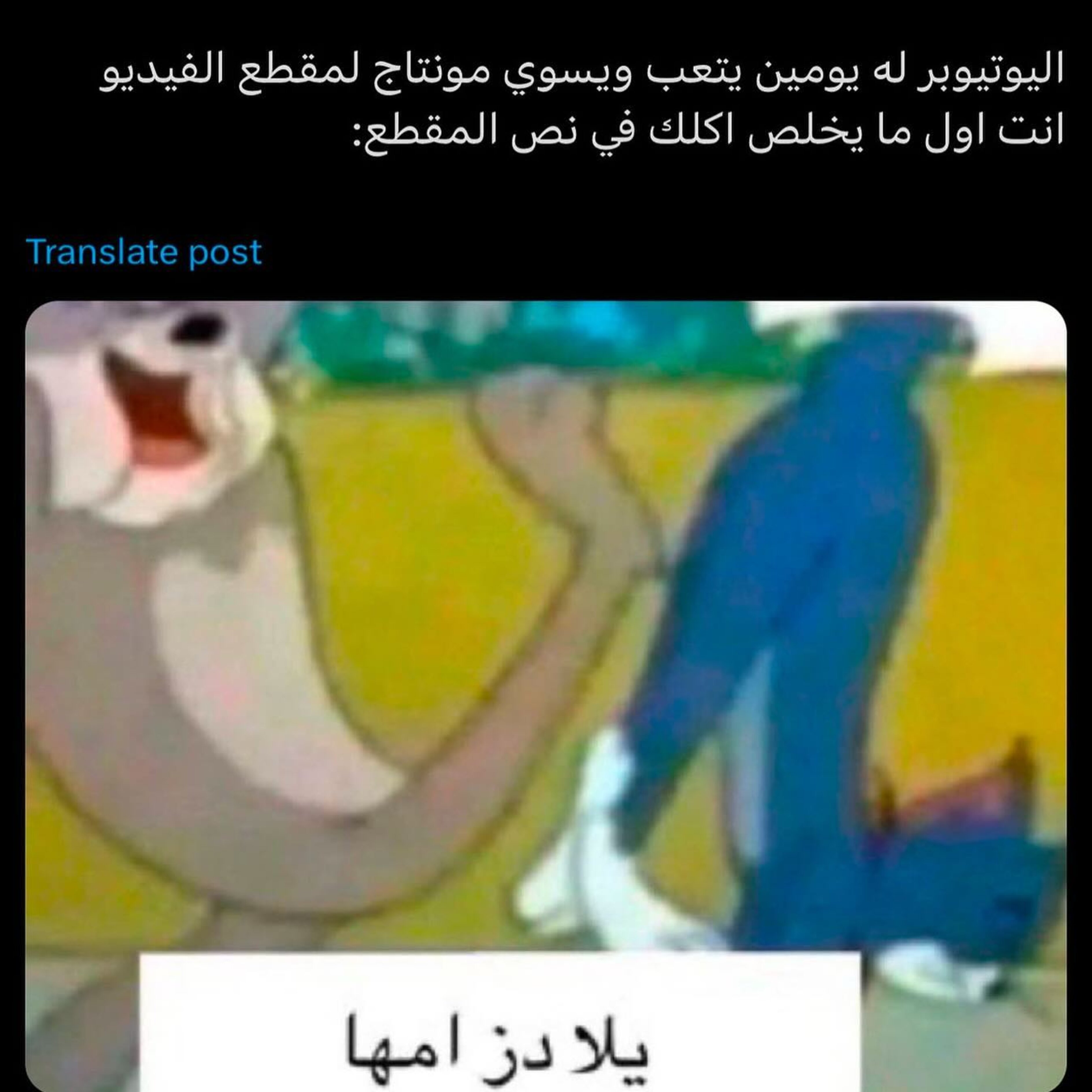 ميم 55