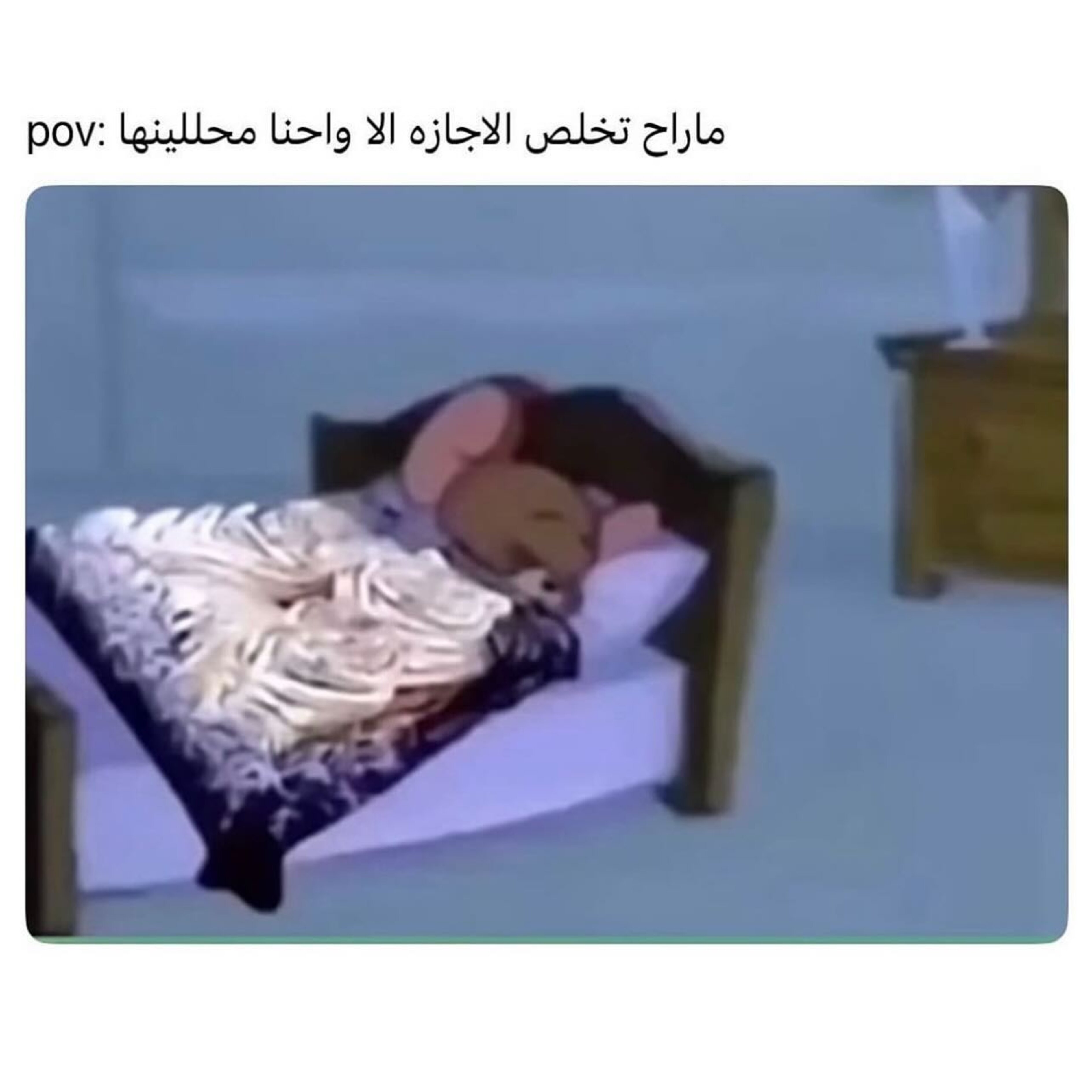 ميم 56