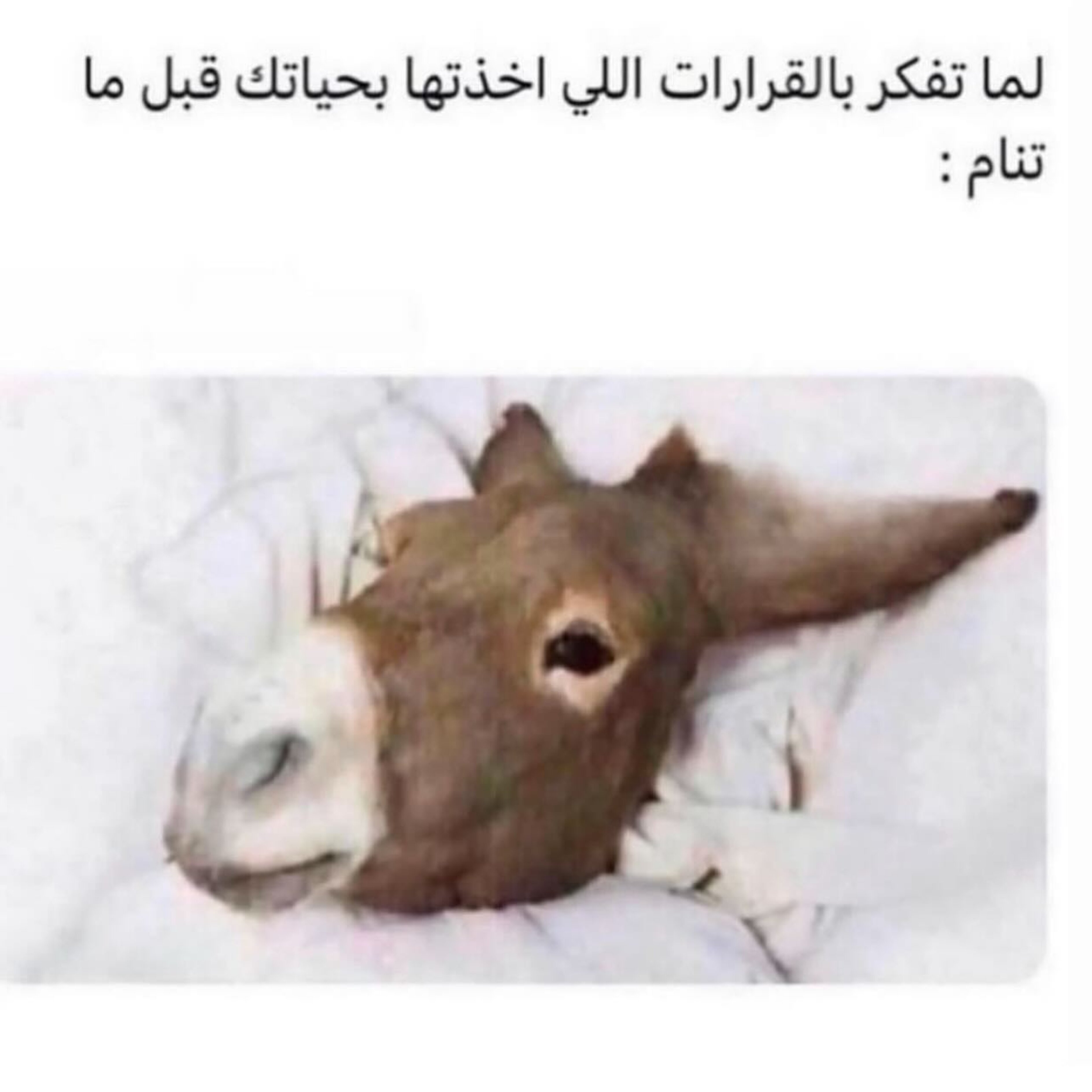 ميم 57