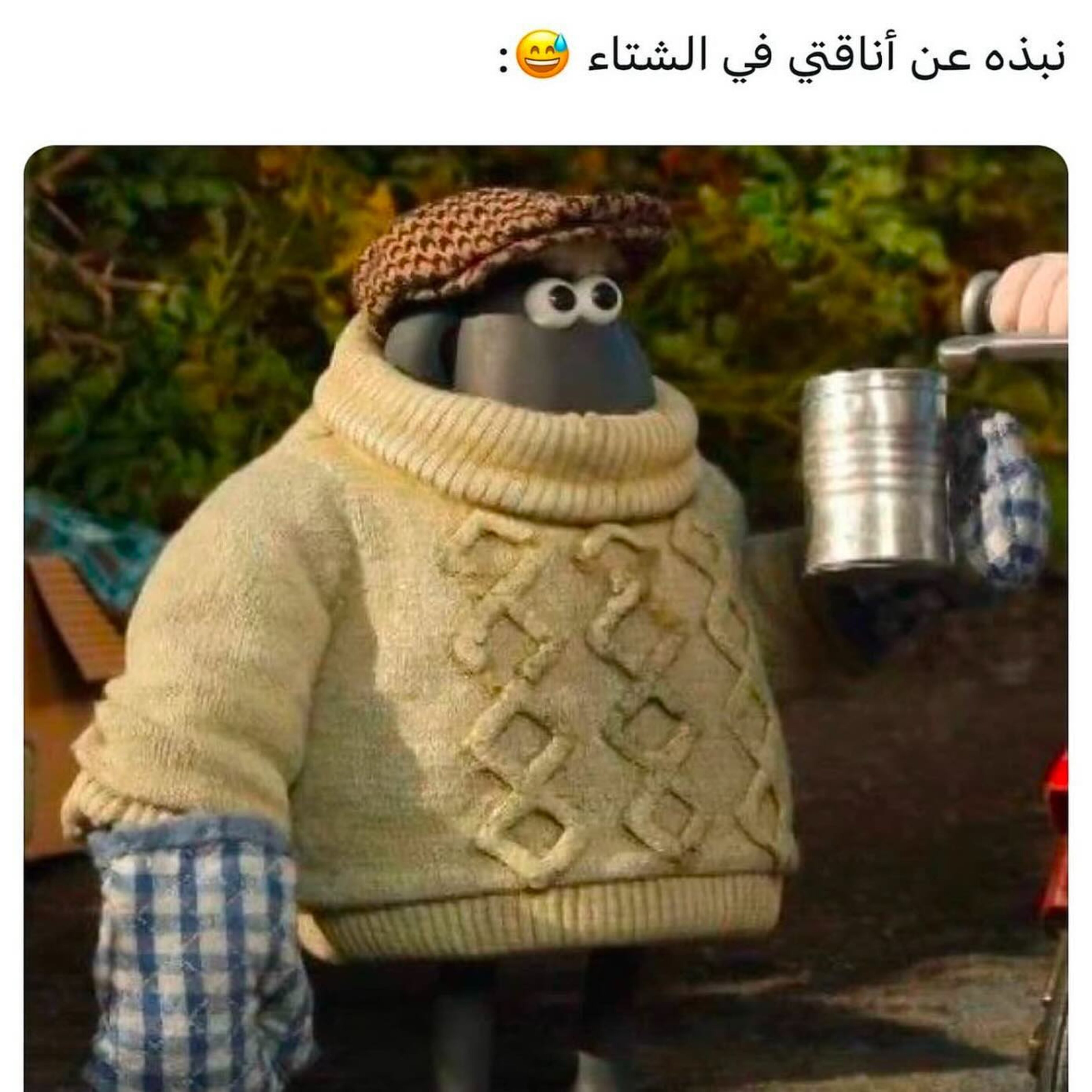 ميم 58
