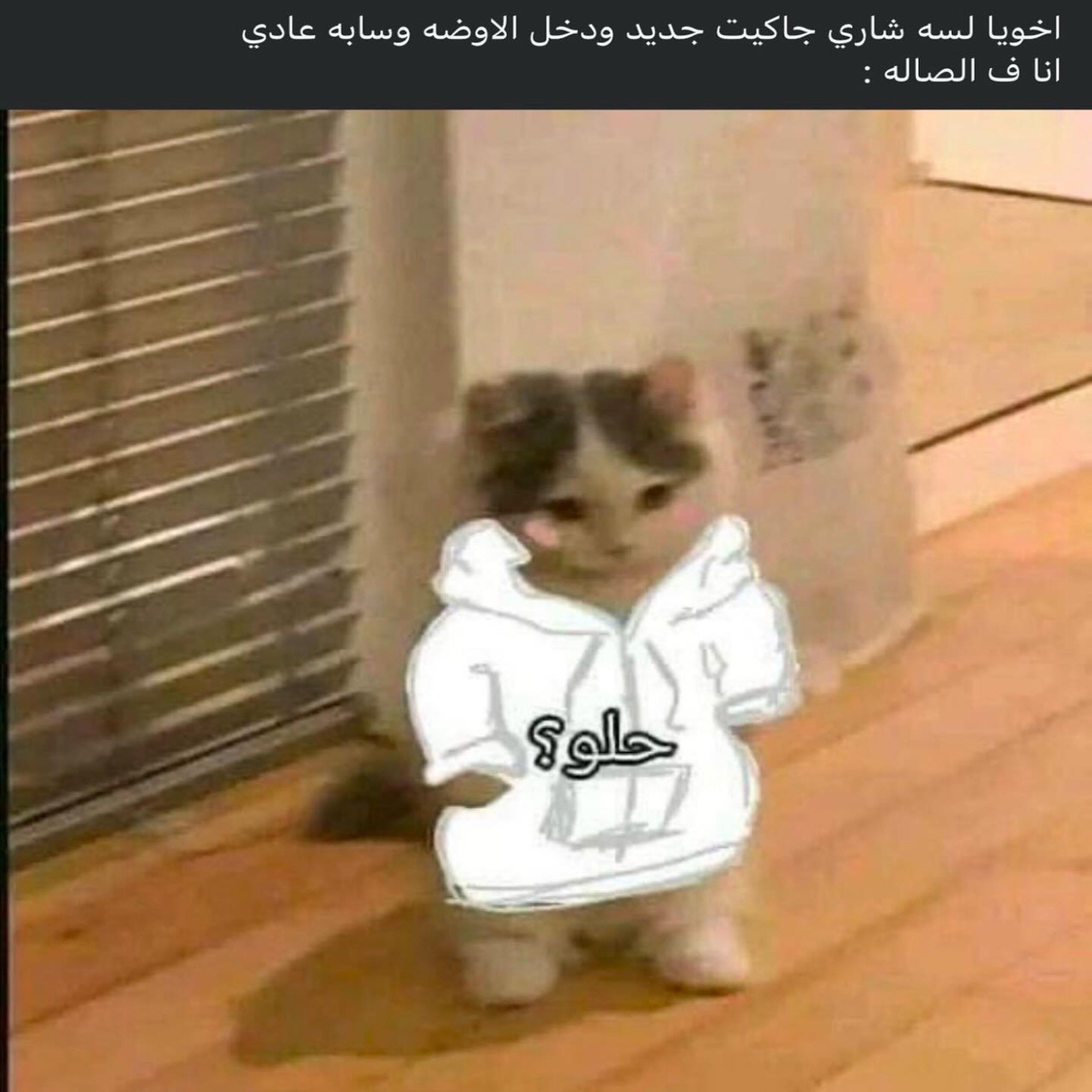 ميم 59