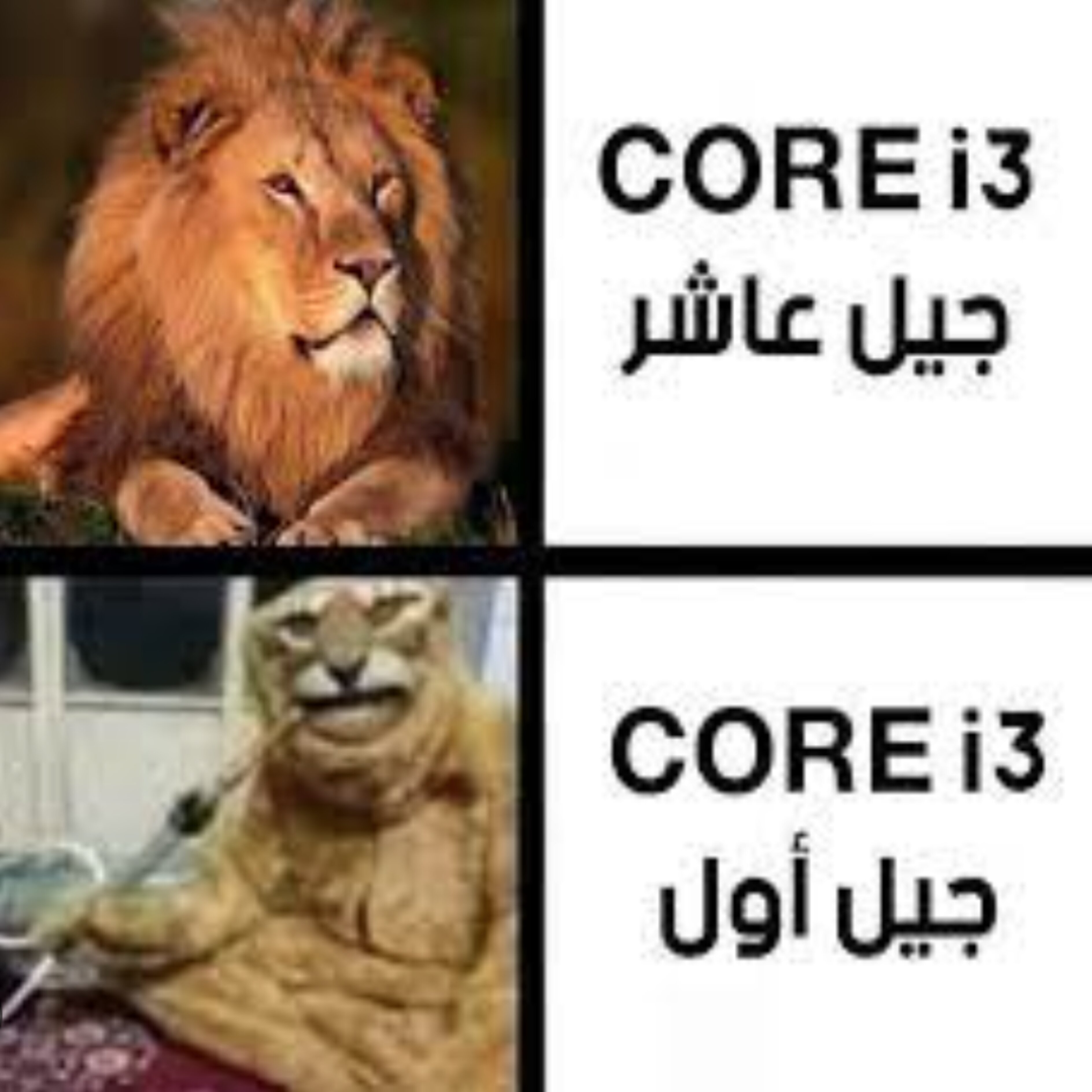 ميم 62